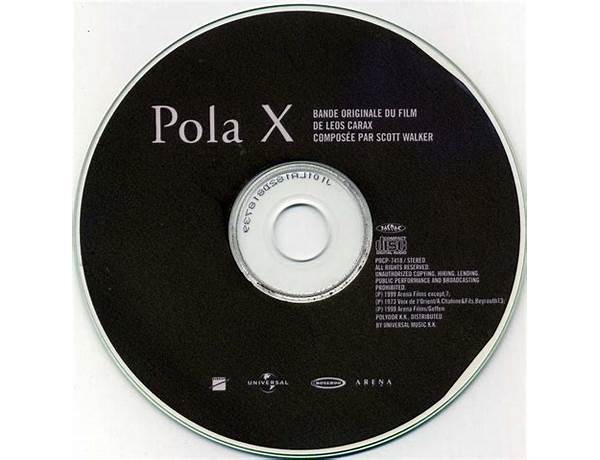 Album: Pola X, musical term