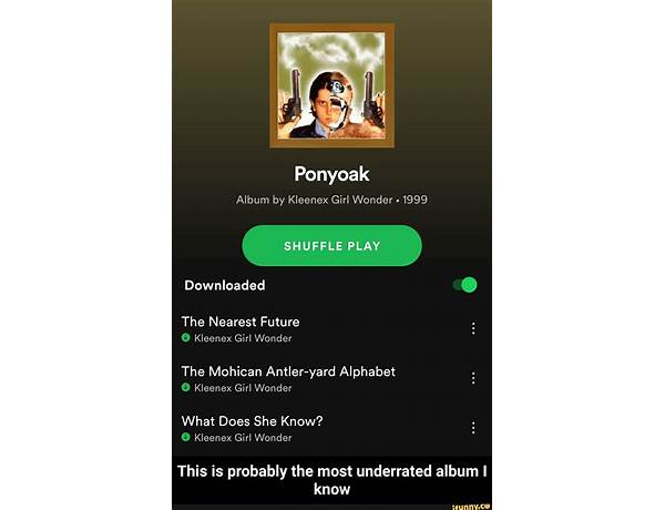 Album: Ponyoak, musical term
