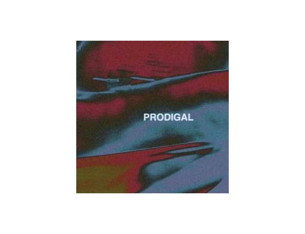 Album: Prodigal Gun, musical term