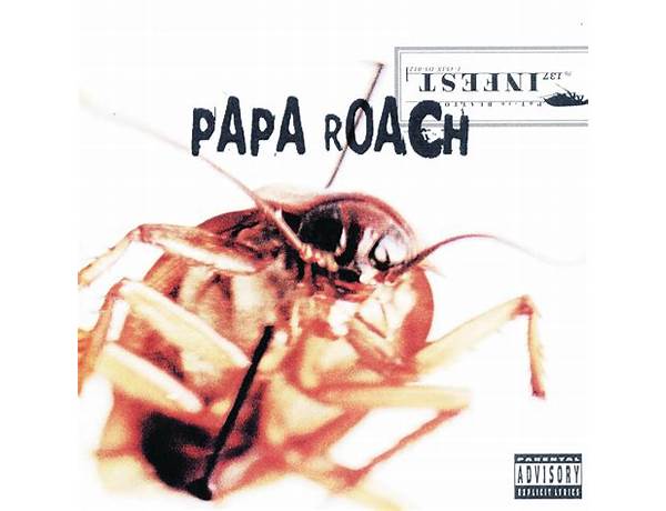 Album: Roach, musical term