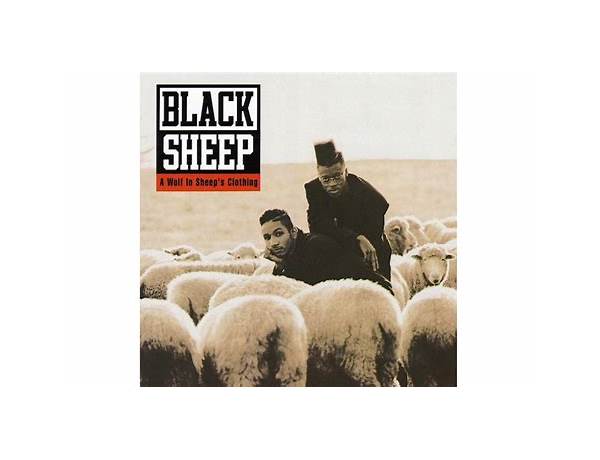 Album: Sheep, musical term