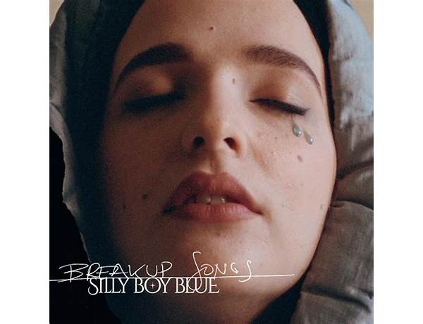 Album: Silly Boy, musical term