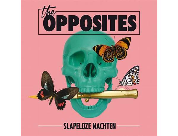 Album: Slapeloze Nachten, musical term