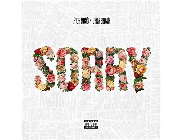 Album: Sorry, musical term