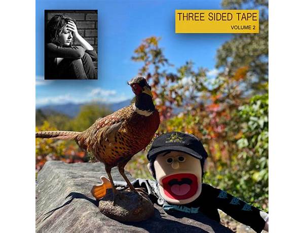 Album: THREE SIDED TAPE VOLUME TWO, musical term