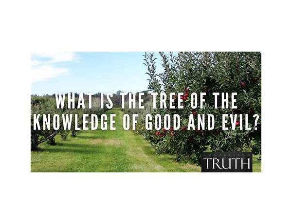 Album: The Big Apple Tree Of The Knowledge Of Good And Evil, musical term