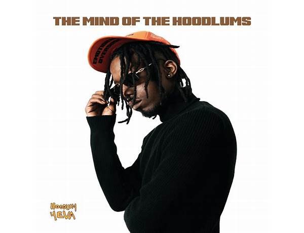 Album: The Mind Of The Hoodlums, musical term