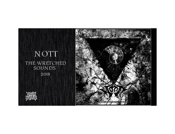 Album: The Wretched Sounds, musical term