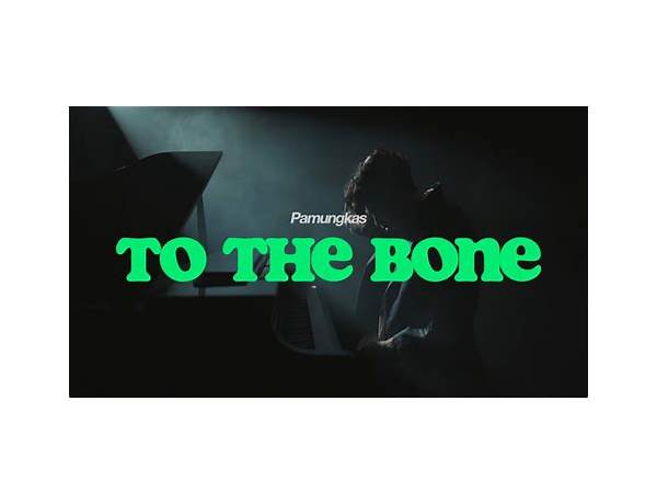 Album: To The Bone, musical term