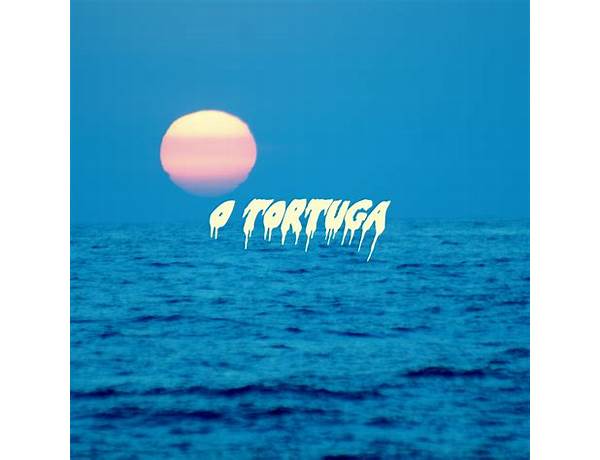 Album: Tortuga, musical term