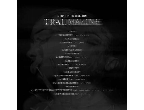 Album: Traumazine, musical term