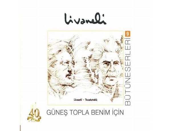 Album: Vol. 9 (Güneş Topla Benim İçin), musical term