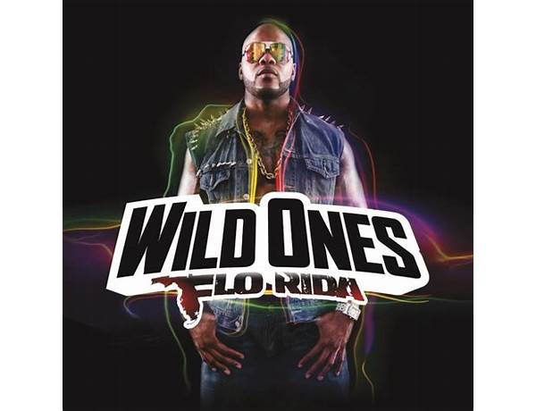 Album: Wild One (EP), musical term