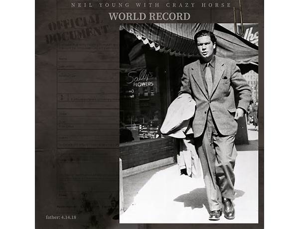 Album: World Record, musical term