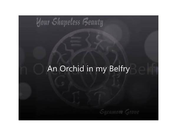 An Orchid In My Belfry en Lyrics [Your Shapeless Beauty]