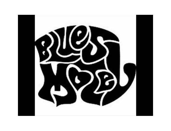 Artist: Blues Motel, musical term
