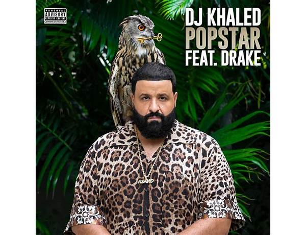 Artist: DJ Khalid, musical term