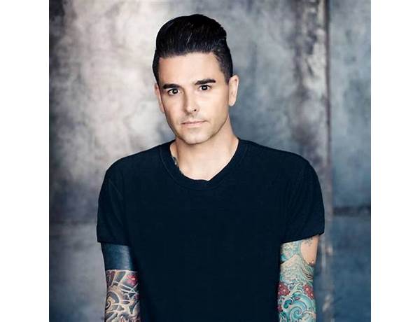 Artist: Dashboard Confessional, musical term