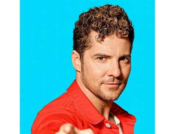 Artist: David Bisbal, musical term