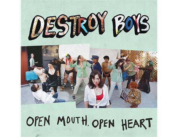 Artist: Destroy Boys, musical term