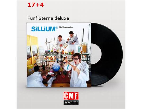 Artist: Fünf Sterne Deluxe, musical term