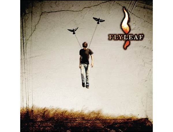 Artist: Flyleaf, musical term