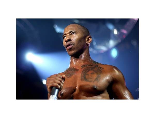 Artist: Fredro Starr, musical term