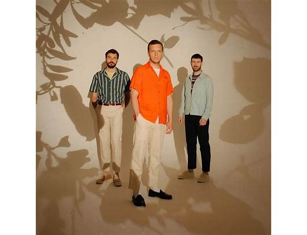 Artist: Friendly Fires, musical term