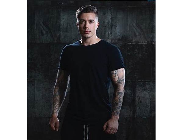 Artist: Headhunterz, musical term