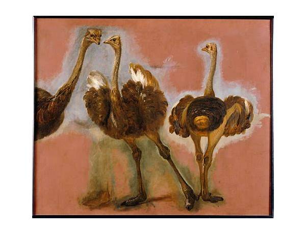 Artist: OSTRICH, musical term