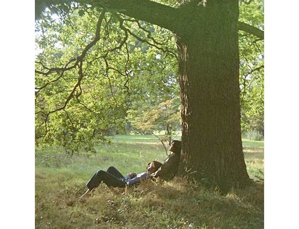 Artist: Plastic Ono Band, musical term