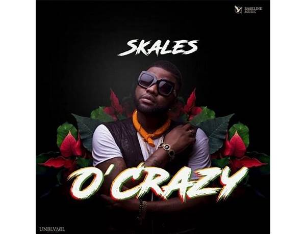 Artist: Skales, musical term