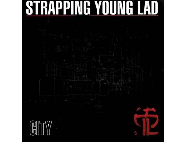 Artist: Strapping Young Lad, musical term