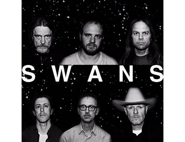 Artist: Swans, musical term