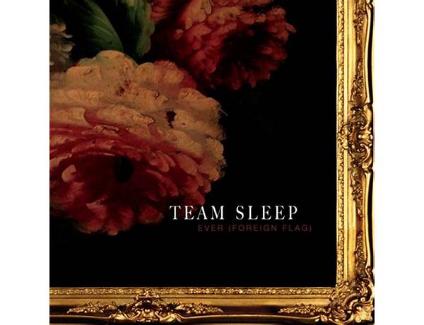 Artist: Team Sleep, musical term