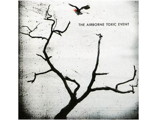 Artist: The Airborne Toxic Event, musical term