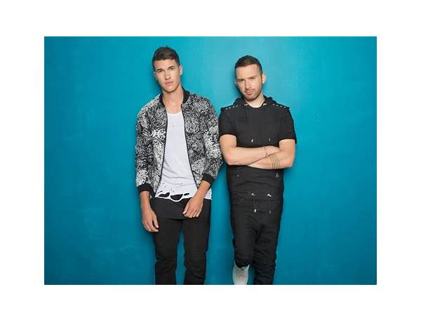 Artist: Timeflies, musical term