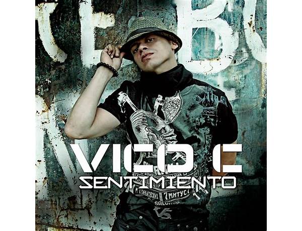 Artist: Vico C, musical term