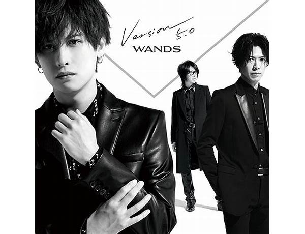 Artist: Wands (JPN), musical term