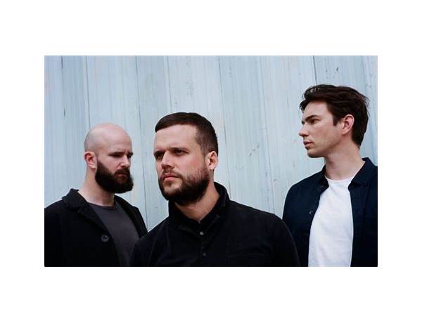 Artist: White Lies, musical term