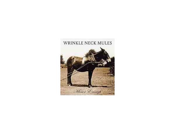 Artist: Wrinkle Neck Mules, musical term