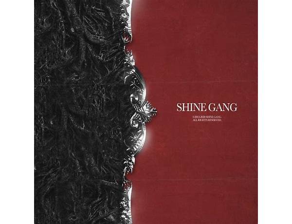 Artwork: SHINE GANG (RUS), musical term