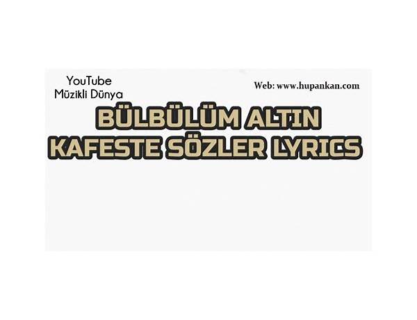 Bülbülüm Altın Kafeste tr Lyrics [Pinhani]