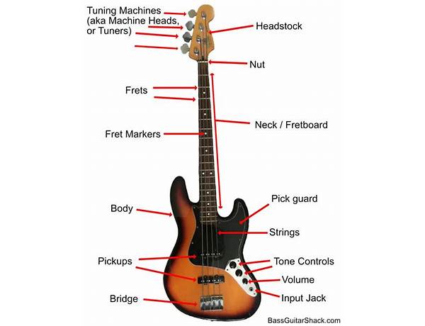 Bass: Guitar, musical term