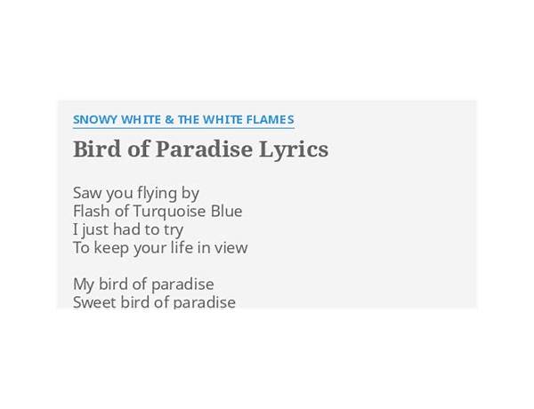 Bird of Paradise en Lyrics [Troy Kingi]