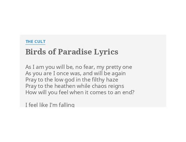 Birds of Paradise en Lyrics [Basia Bulat]