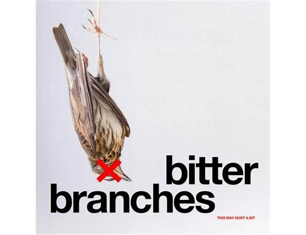 Bitter Branches en Lyrics [PJ Harvey]