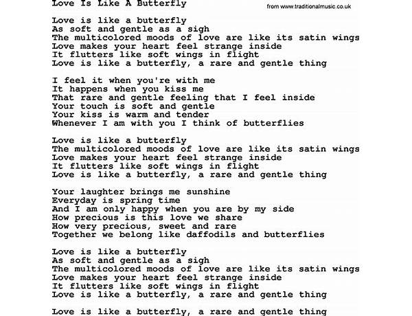 Butterflies en Lyrics [4ren]