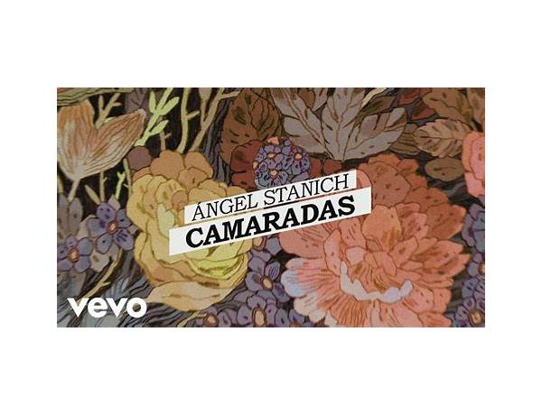 Camaradas es Lyrics [Angel Stanich]