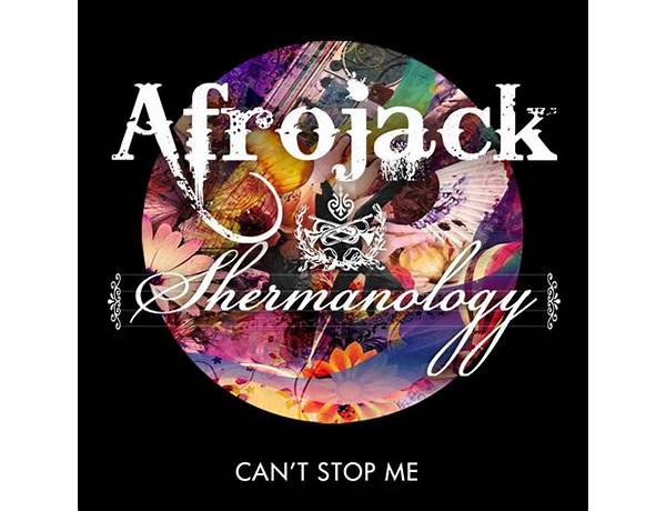 Can\'t Stop Me en Lyrics [Afrojack & Shermanology]